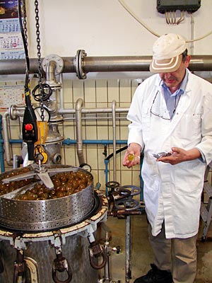 Pfalz - Ein Süßwarentechniker prüft bei Biffar kritisch die kandierten Feigen