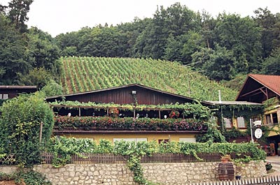 Regensburg - Weinstube