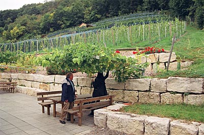 Regensburg - Weinberg