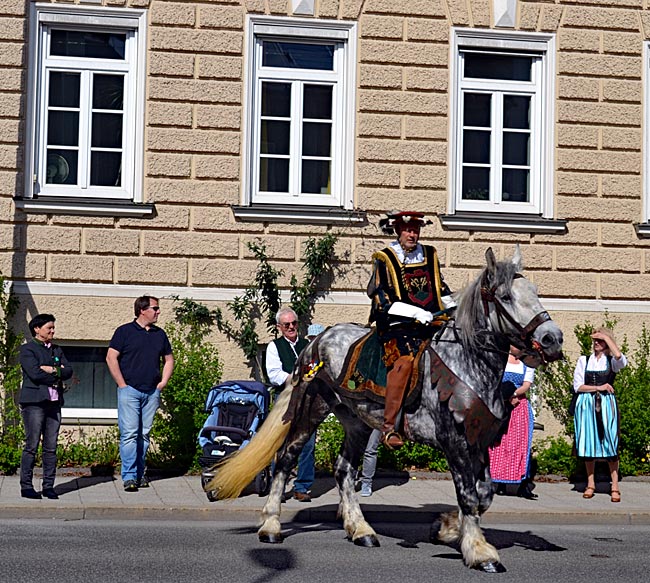 Georgi-Ritt in Traunstein - der Herold auf dem Pferd