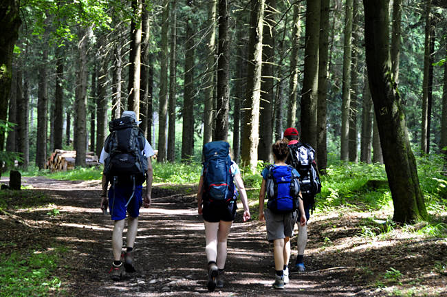 Wandern imThüringer Wald