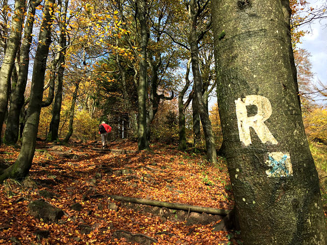 Herbstliches Wandern zum Gipfel des Großen Inselsbergs, Thüringer Wald