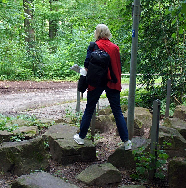 Bad Oeynhausen - Trainingsparcours in der Oeynhausener Schweiz