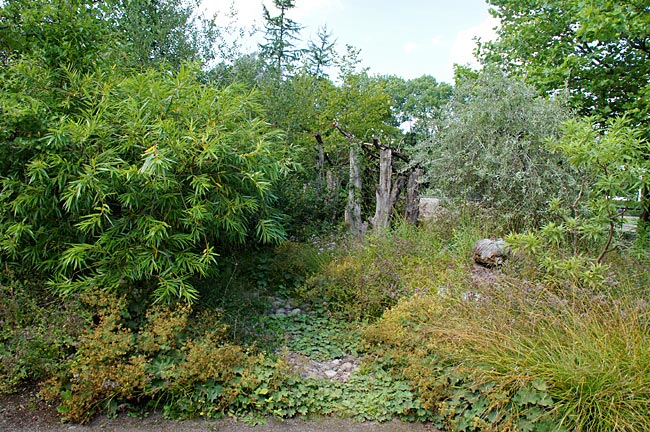 Bad Oeynhausen Eh. Landesgartenschau und die Allee des Weltklima