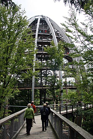 Bayerwald - Baumwipfelpfad