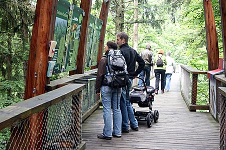 Bayerwald - Baumwipfelpfad