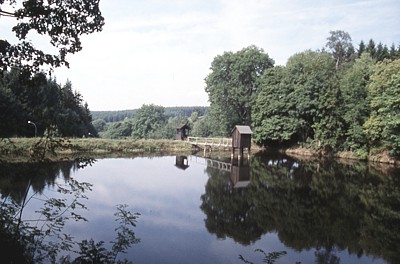 Deutschland / Harz / Zellerfeld / Wasserregal