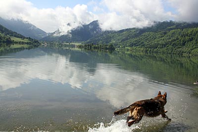 Schliersee