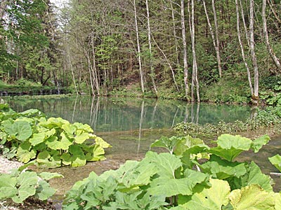 Idylle bei der Wimsener Höhle