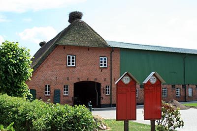 Deutschland - Schleswig-Holstein - Storchennester und -tafeln bei einem Bauernhof