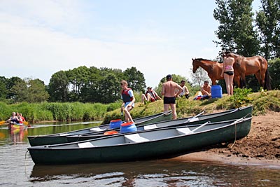 Deutschland - Schleswig-Holstein - An der Treene nördlich von Treia