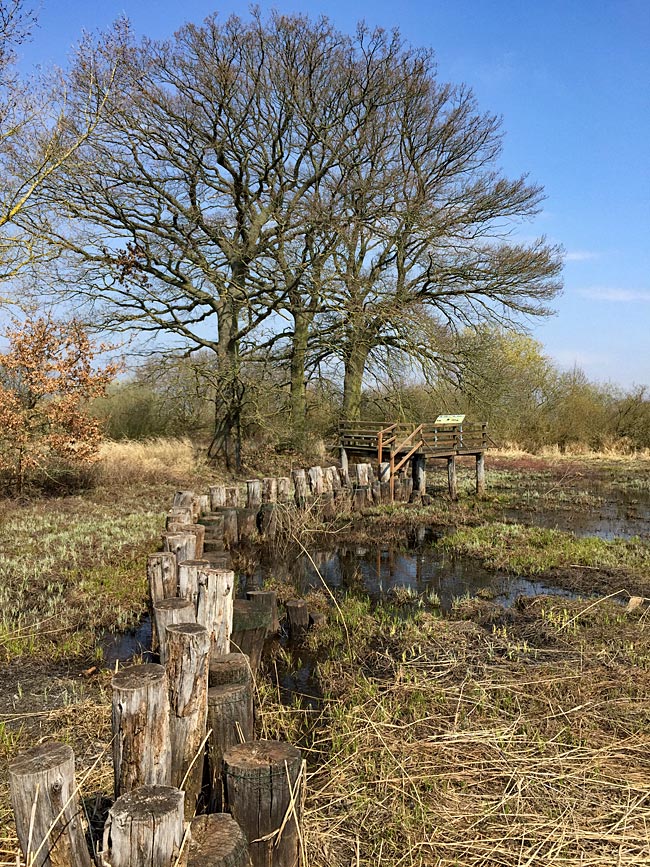 Qualmwassersteg bei Lenzen, im Biosphärenreservat Flusslandschaft Elbe Brandenburg