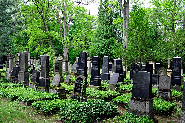 Grabstellen im Neuen Jüdischen Friedhof, ab 1878 bis heute, Erfurt, Thüringen.