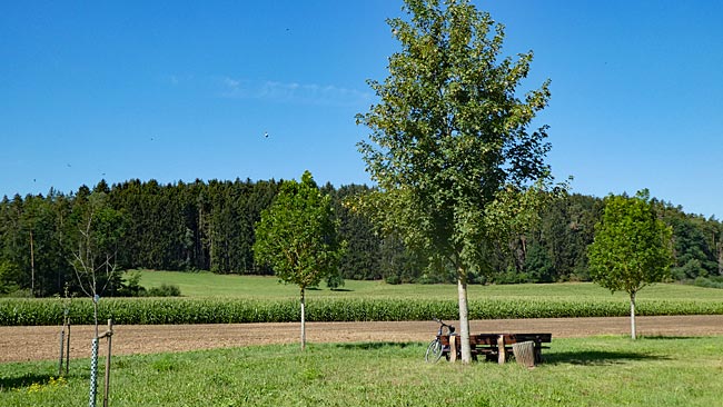 Zwischen Neuendettelsau und Markt Lichtenau: An der Fränkischen Rezat