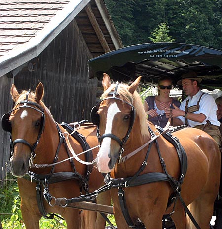 Garmisch-Partenkirchen - Kutschlehrgang