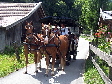 Garmisch-Partenkirchen - Kutschlehrgang