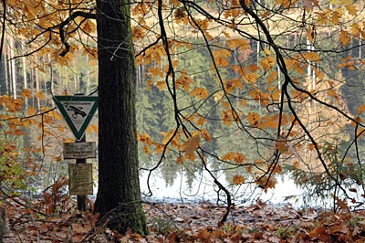 Deutschland - Grünes Band - Naturschutzgebiet bei Mitwitz