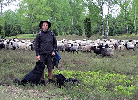 Lüneburger Heide - Heidschnuckenweg - Schäfer Carl Wilhelm Kuhlmann