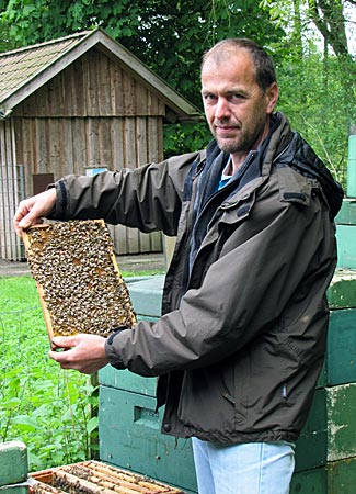 Lüneburger Heide - Heidschnuckenweg - Imker Klaus Ahrens am Lehrbienenstand im Wildpark Müden