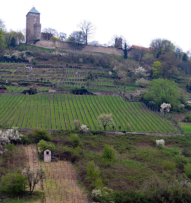 Heppenheim - Starkenburg