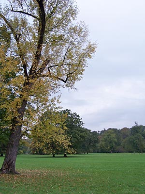 Deutschland - Weimar - Ilmpark in Weimar