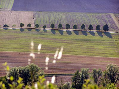 Deutschland - Blick von der Homburg bei Gemünden