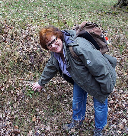 Mespelbrunn - Spessart - Die Kräuterexpertin Karin Ripp zeigt uns einer der Kräuter im Langen Grund:  junger Sauerampfer