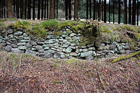 Spessart - Aus der Not entstanden: Trockenmauer zur Sicherung der Ackerflächen in Hanglage