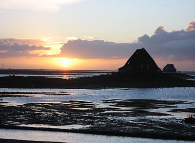 Sonnenuntergang über Nordstrandischmoor