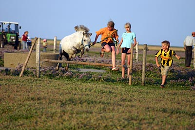 Nordstrandischmoor