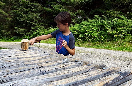 Oberstaufen im Allgäu - Holzinstrument auf dem Erlebnisrundweg in Oberstaufen