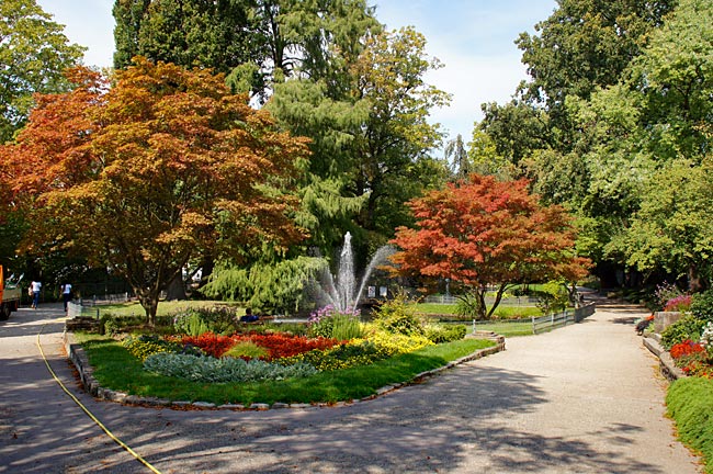 Offenburg  Im Zwingerpark unterwegs