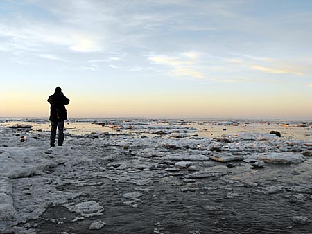 Ostfriesland - Das Wattenmeer ist zentrales Thema im Wolf-Thriller „Ostfriesenangst“