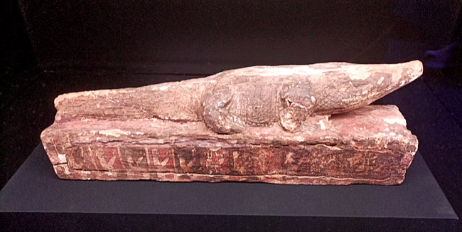 Odysseum, Ausstellung, Hölzerner Sarg für ein mumifiziertes Krokodil, Spätzeit, Ptolemäische Zeit, Scharm El-Scheich Museum