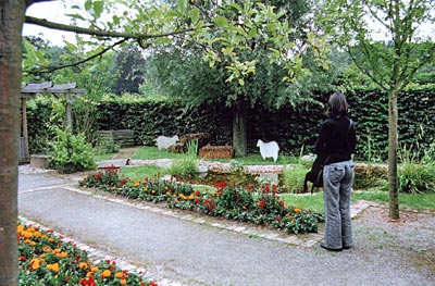 Deutschland - Rheinland - Hüsch-Garten