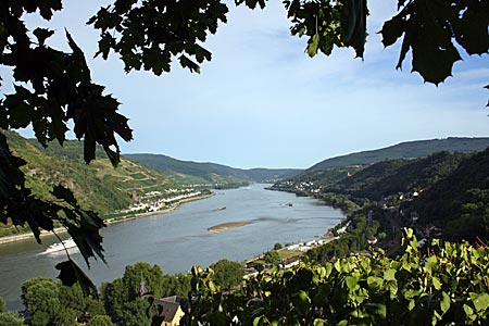 Rheinradweg - Blicke von der Burg Stahleck aus (Bacharach)