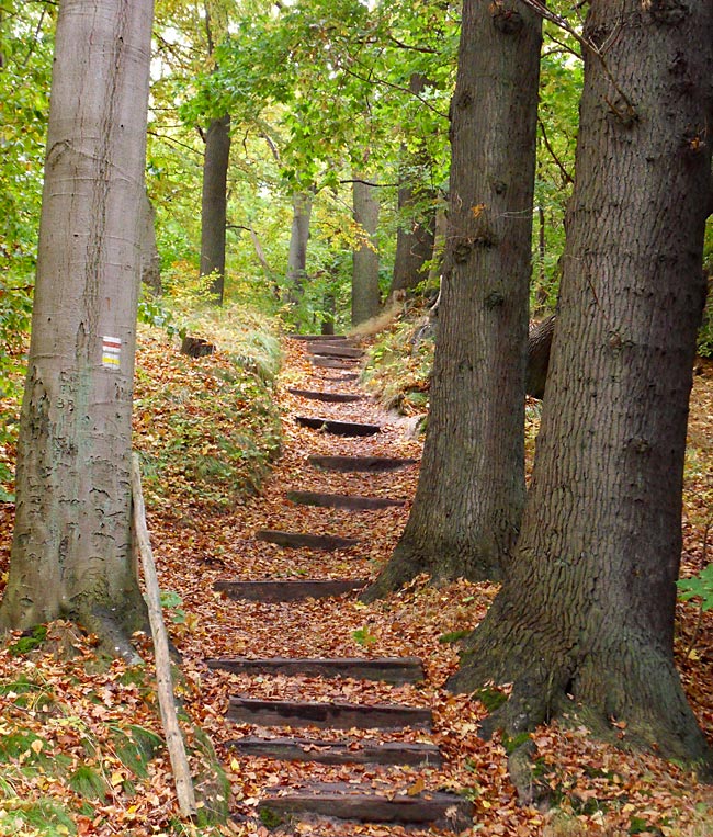 Göhren auf Rügen - Wandern auf dem Nordperd