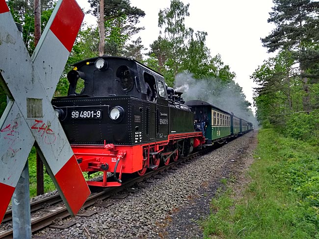 Göhren auf Rügen - der Rasende Roland kreuzt den Weg nach Baabe