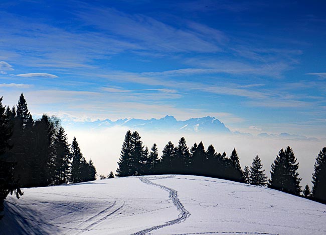 Scheidegg im Westallgäu - Winterlandschaft am Pfänderrücken