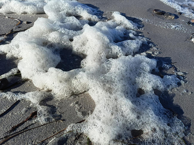 Schaum am Strand bei Schönberger Strand - Probstei