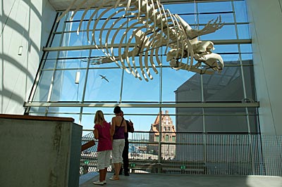 Stralsund - im Ozeaneum