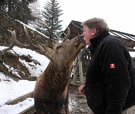 Tölzer Land - Ziel einer Winterwanderung in Lenggries ist die Reiseralm unterhalb des Brauneck. Die besondere Attraktion, der Hirschkuss von Alois Oswald