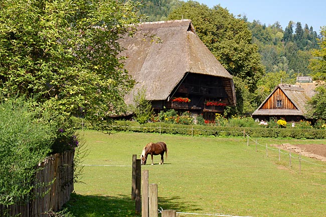 Freilichtmuseum Vogtsbauernhof Gutach: Vogtsbauernhof Original