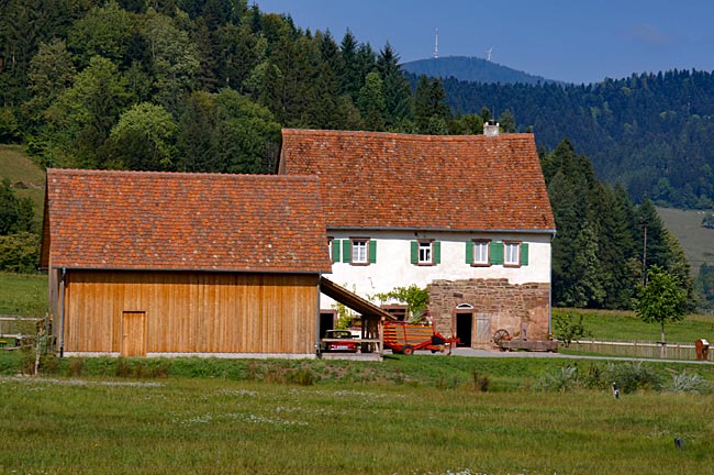 Freilichtmuseum Vogtsbauernhof Gutach: Schlössle von Effringen