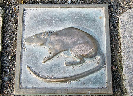 Weserbergland - Hameln - Rattenrelief in der Fußgängerzone