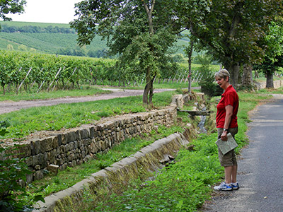 Historische Trinkwasserleitung im sogenannten Paradiesgarten, wo ein guter Tropfen heranreift