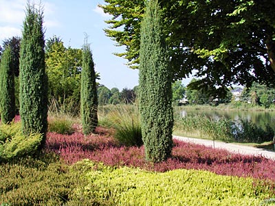 Warendorf - Heidelandschaft im Park an der Ems