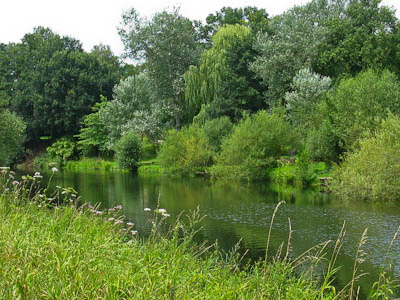 Münsterland: Nicht immer haben wir wie hier vom Emsradweg aus den Fluss im Blick