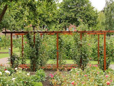 Münsterland: Gartenansichct aus dem Vier-Jahreszeiten-Garten Oelde