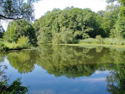 Münsterland: An der Werse